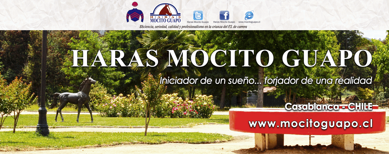 HARAS MOCITO GUAPO | www.mocitoguapo.cl | Eficiencia, seriedad, calidad y profesionalismo en la crianza del F.S. de Carrera – CHILE